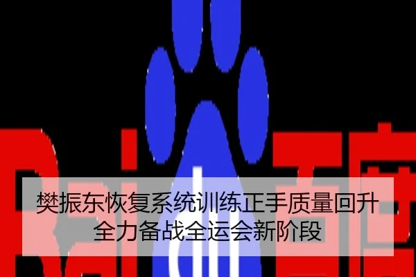 樊振东恢复系统训练正手质量回升全力备战全运会新阶段